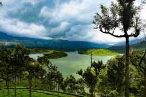 Munnar, Kerala – A Lush Summer Destination and One of the Best Places to Visit in Summer in India