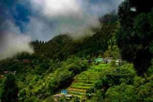Darjeeling, West Bengal – A Scenic Place to Visit in Summer in India for Tea Lovers and Tranquility